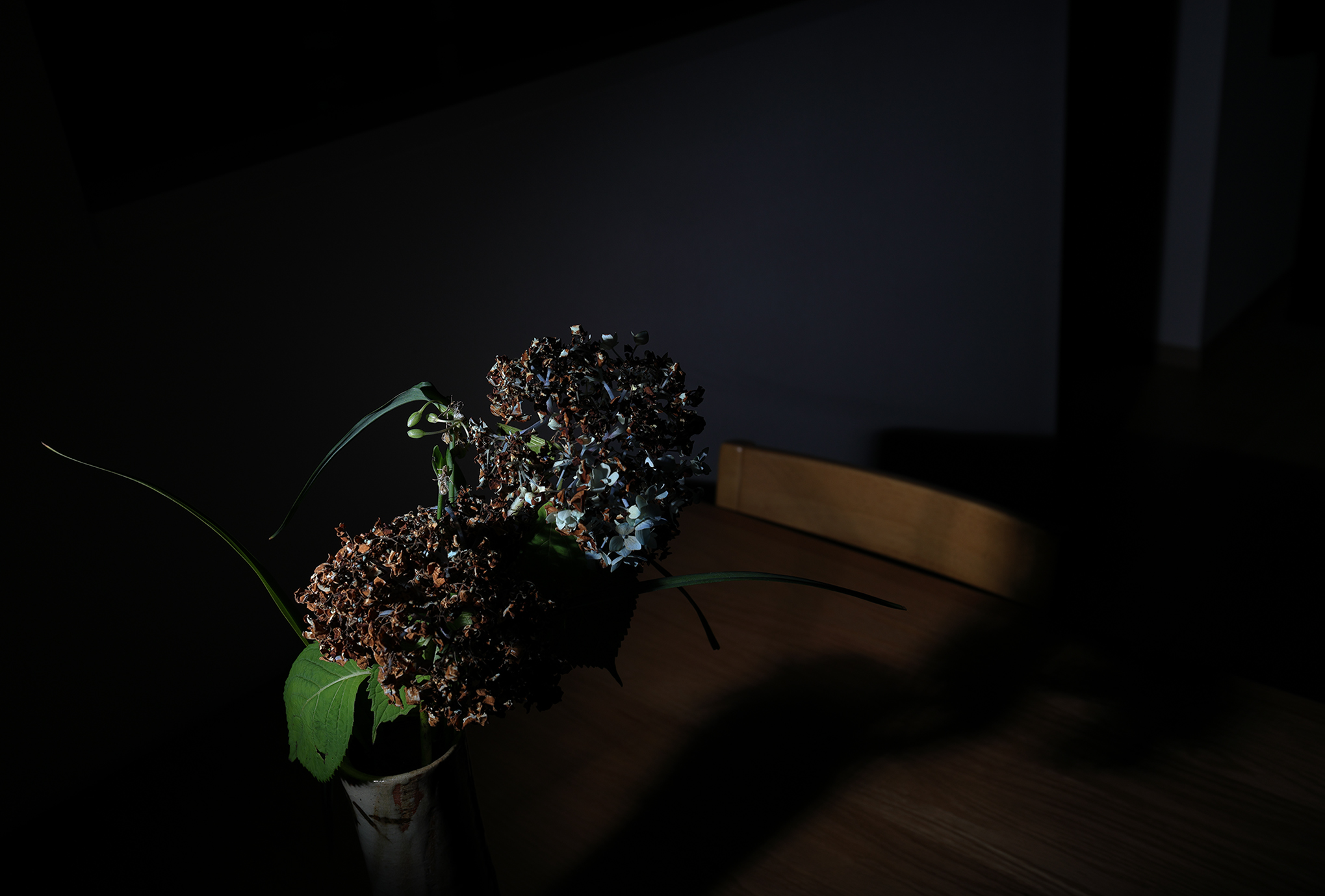 佐々木裕而　「緑雨落葉松林 」　日本画 佐々木裕而 「緑雨落葉松林 」 日本画 - メルカリ